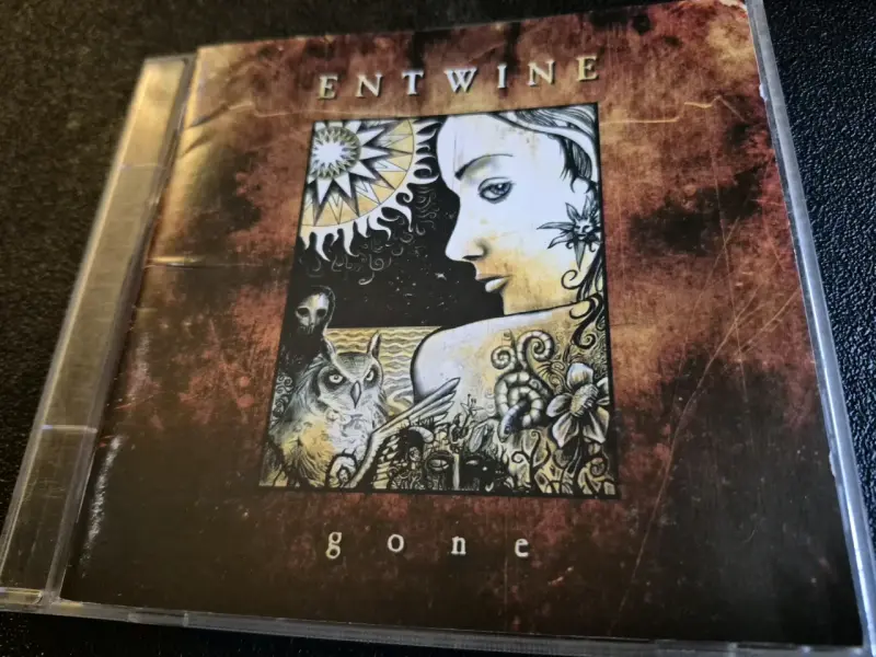 CD de música Entwine - Gone