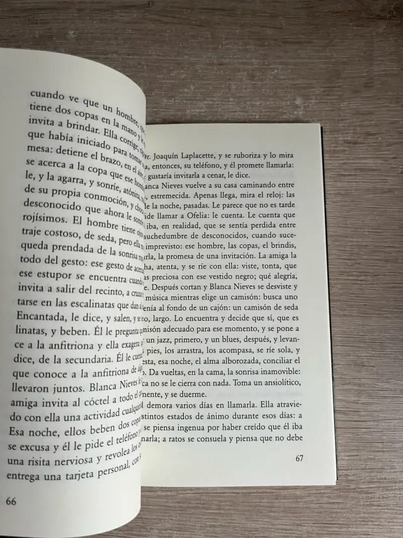 Libro 'Me Verás Caer' de Mariana Travacio - 3