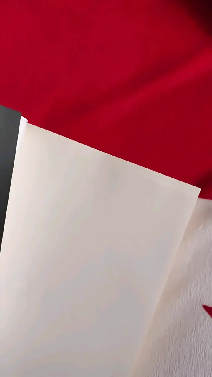 Libro 'Holly' de Stephen King en español - 3