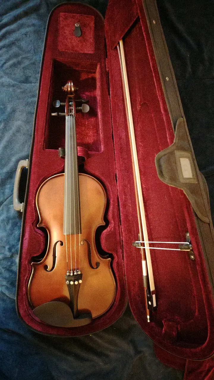 Violín 4/4 con estuche - 1