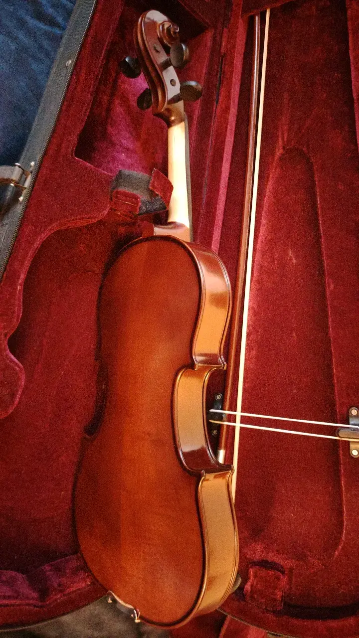 Violín 4/4 con estuche - 4