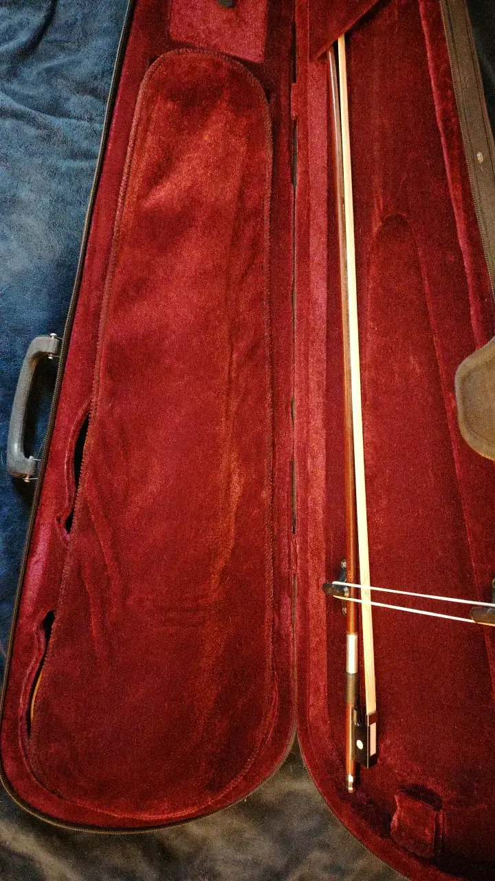 Violín 4/4 con estuche - 5