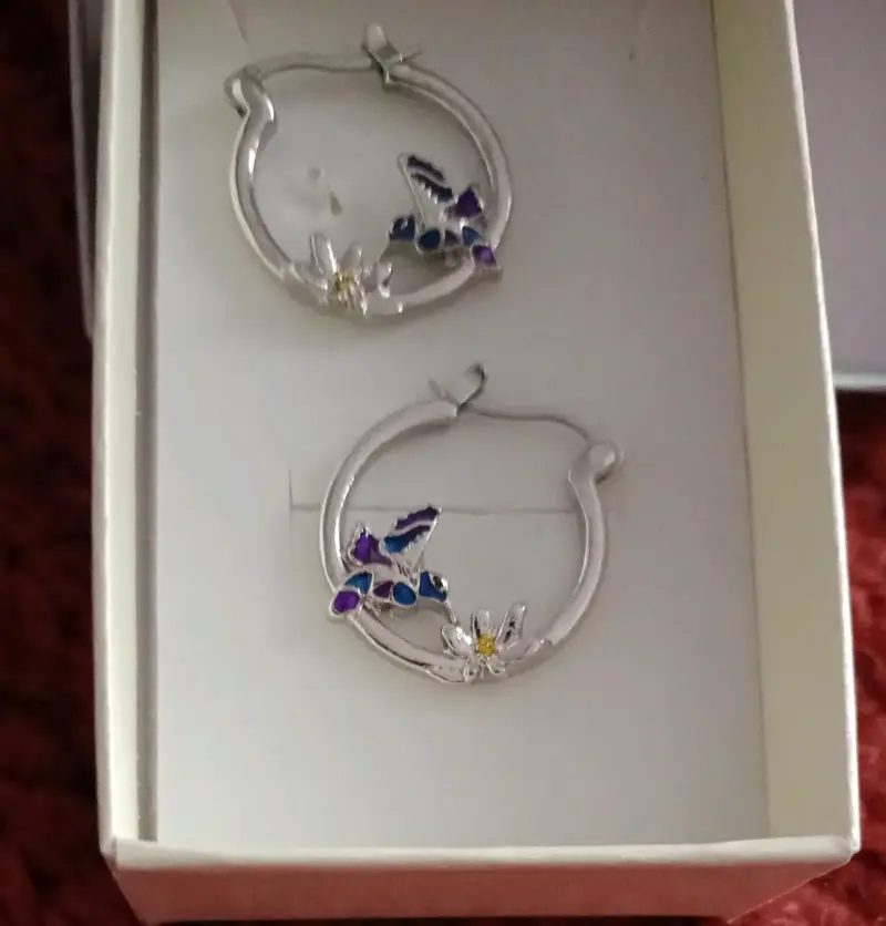 Aros de acero con colibries y flores - 1