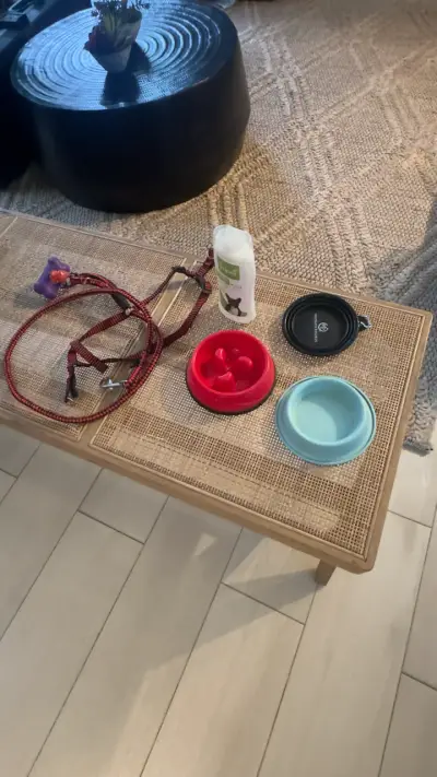 Kit de accesorios para perro con correa y platos - miniatura 2