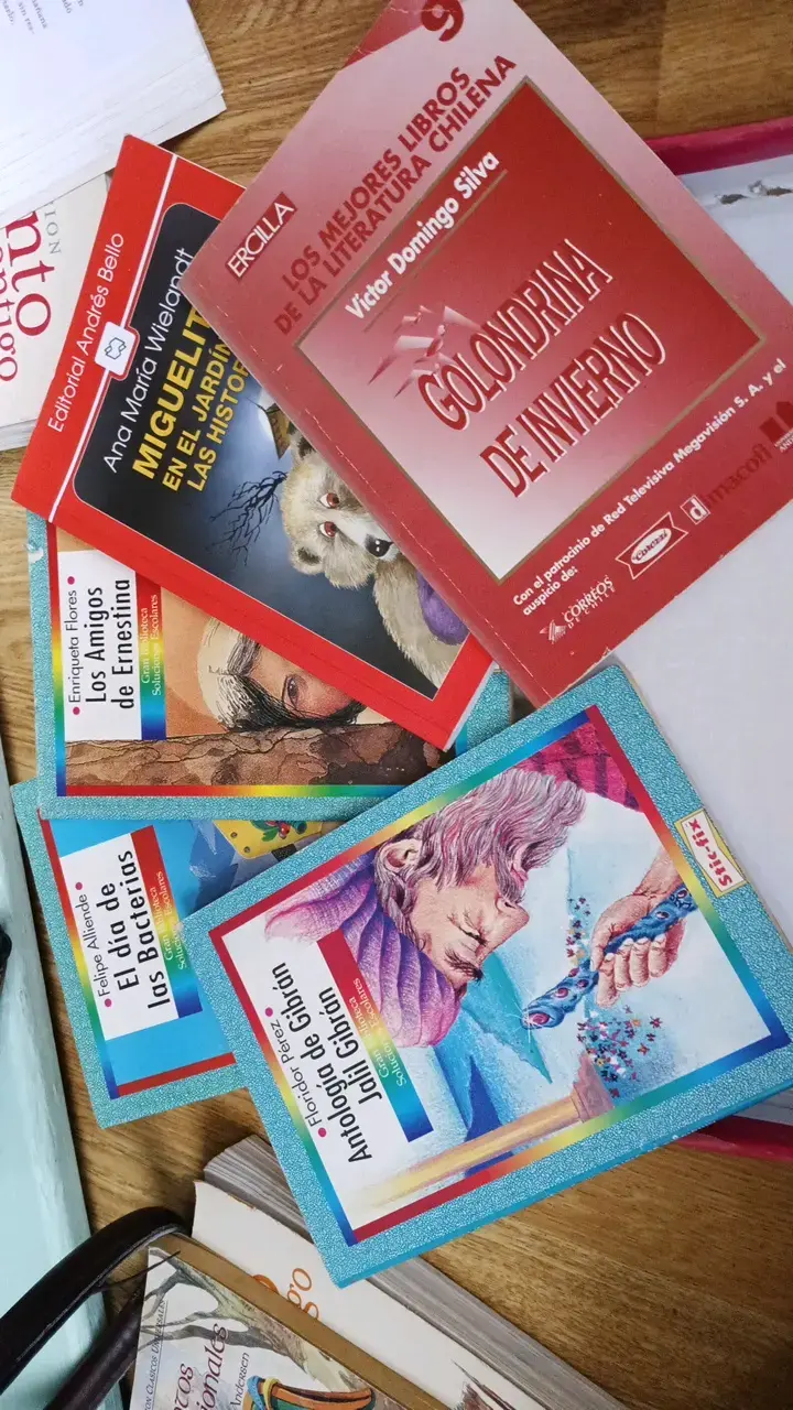 Colección de Libros de Literatura Chilena y Clásicos - 1