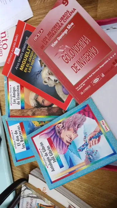 Colección de Libros de Literatura Chilena y Clásicos - miniatura 1