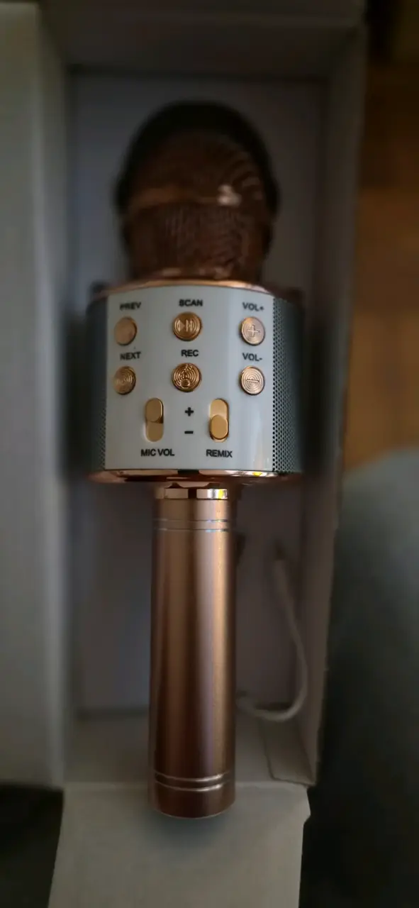 Micrófono Karaoke Bluetooth ProSound con Altavoz - 3