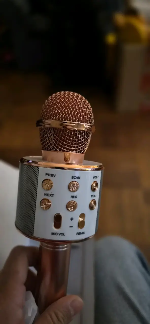 Micrófono Karaoke Bluetooth ProSound con Altavoz - 5