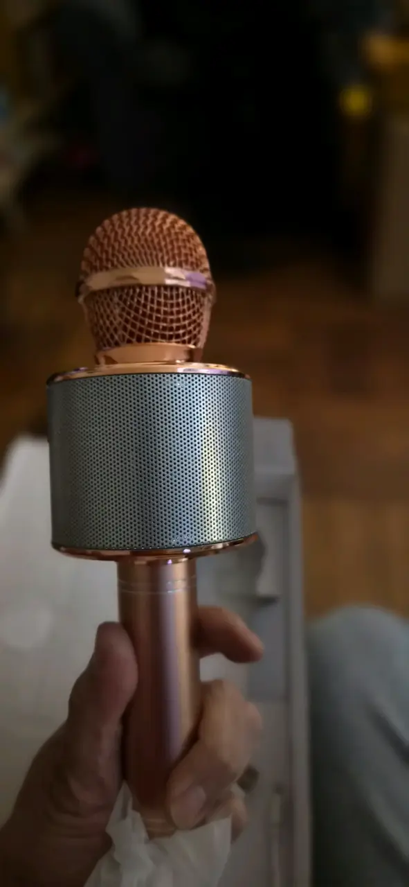 Micrófono Karaoke Bluetooth ProSound con Altavoz - 6