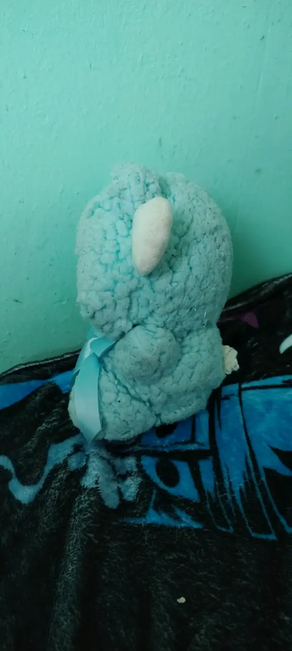 Peluche de cinna - 2