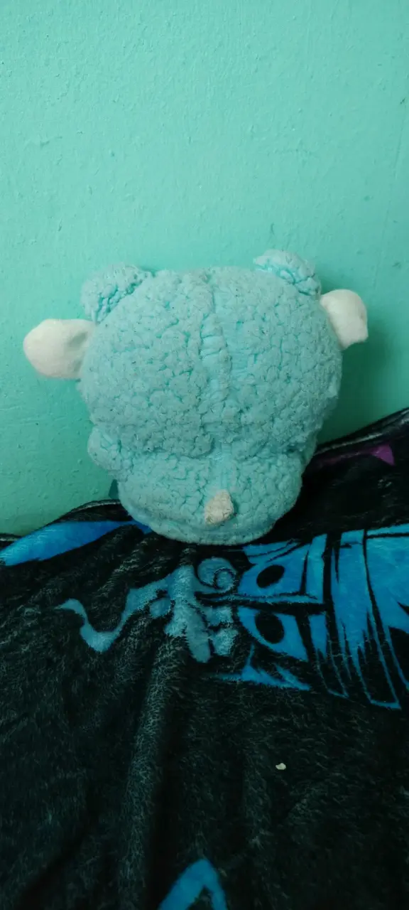 Peluche de cinna - 3