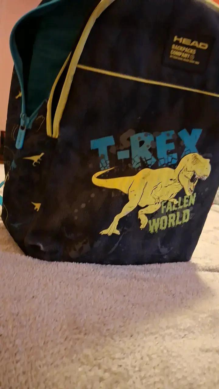 Mochila infantil T-Rex Head con diseño de dinosaurios - 3