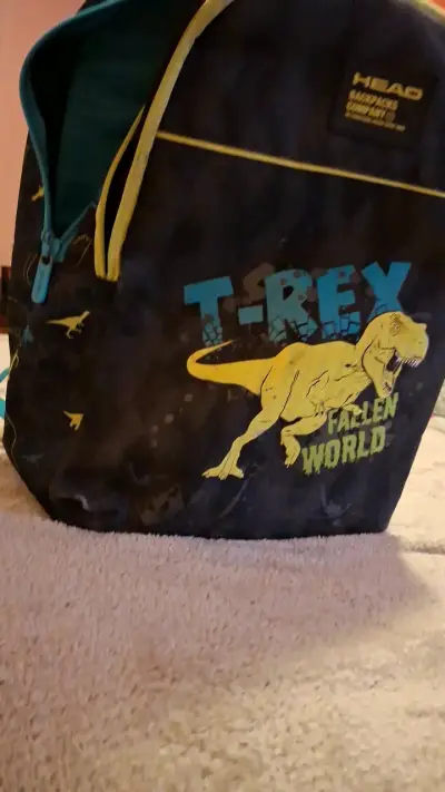 Mochila infantil T-Rex Head con diseño de dinosaurios - miniatura 3