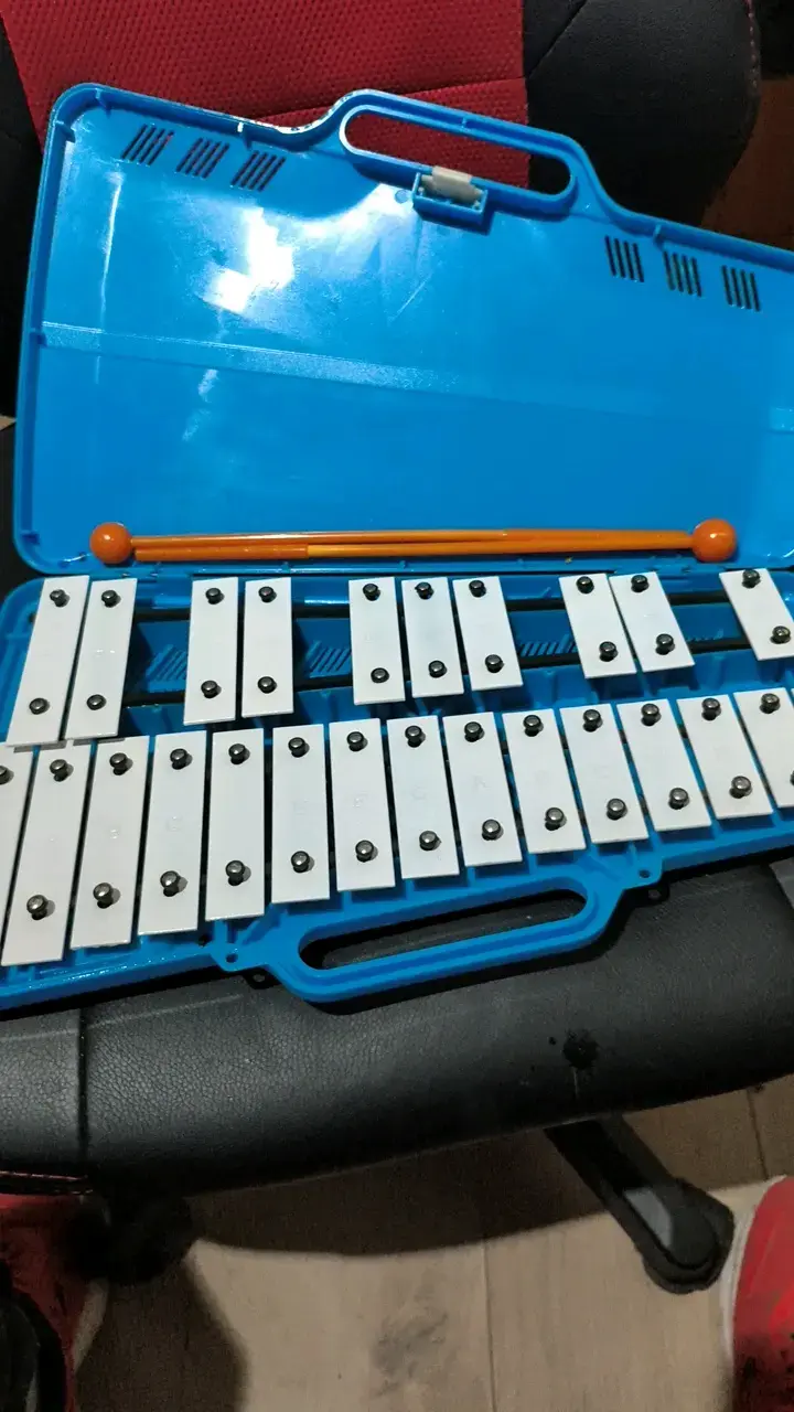 Xilófono de metal Baldassare con estuche azul - 1