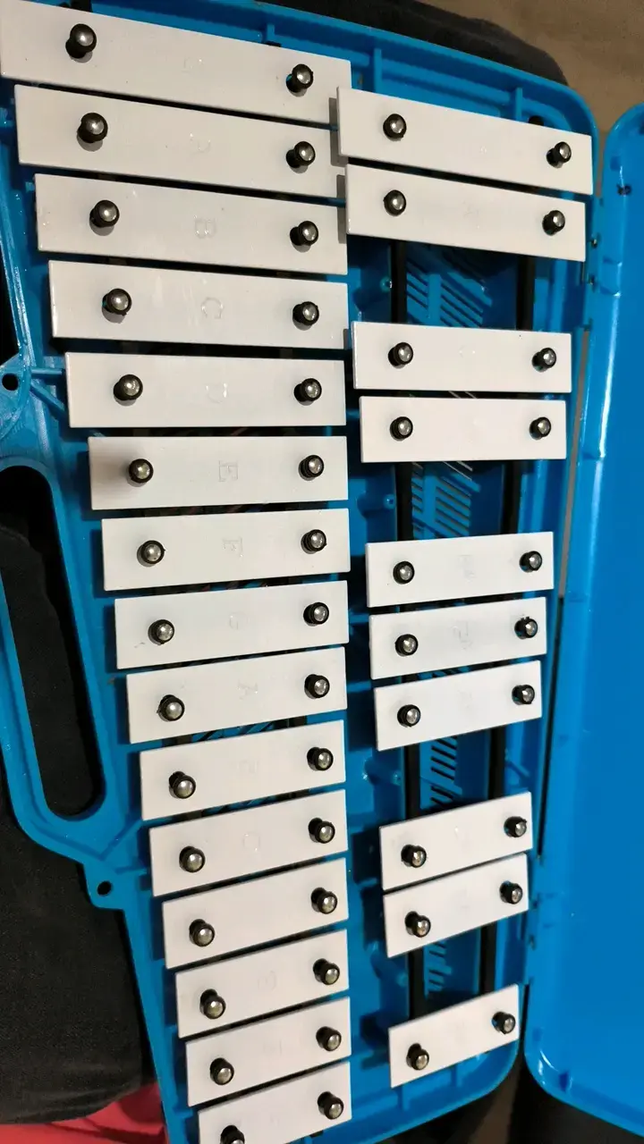 Xilófono de metal Baldassare con estuche azul - 2