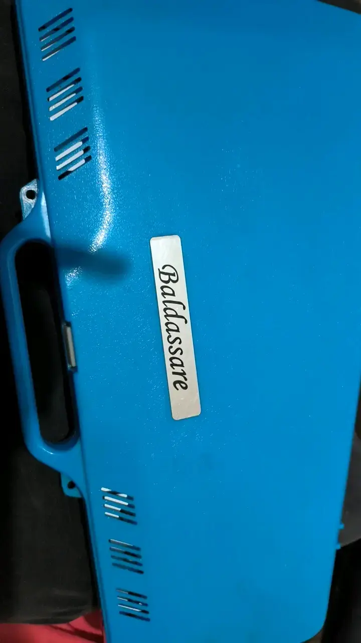 Xilófono de metal Baldassare con estuche azul - 3