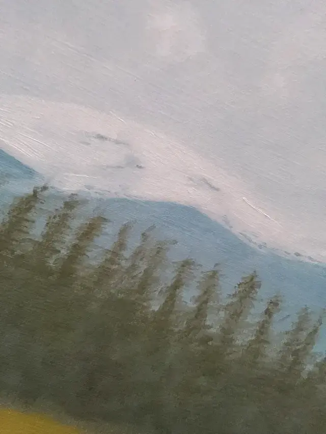 Cuadro Paisaje Montañoso con Marco Negro - 2