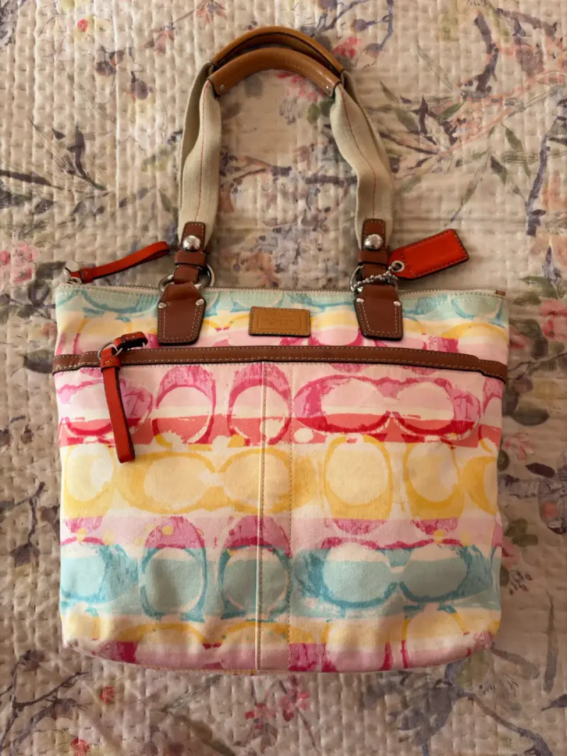 Bolso Coach Hampton Watercolor - 1