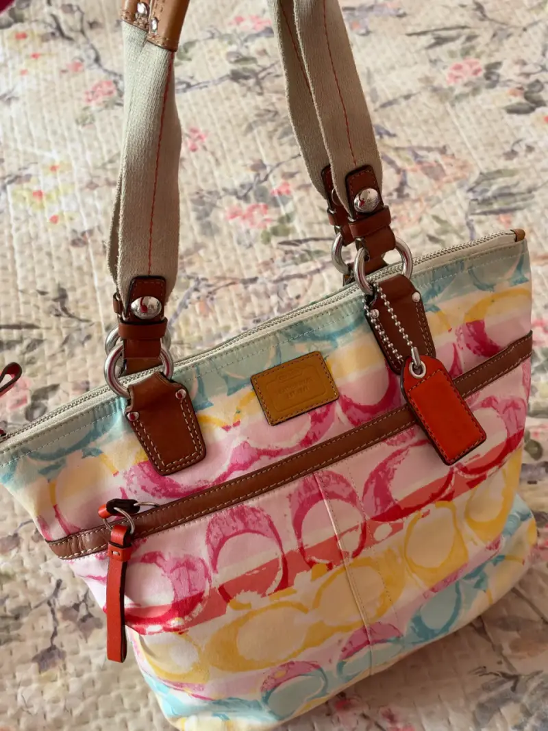 Bolso Coach Hampton Watercolor - 2