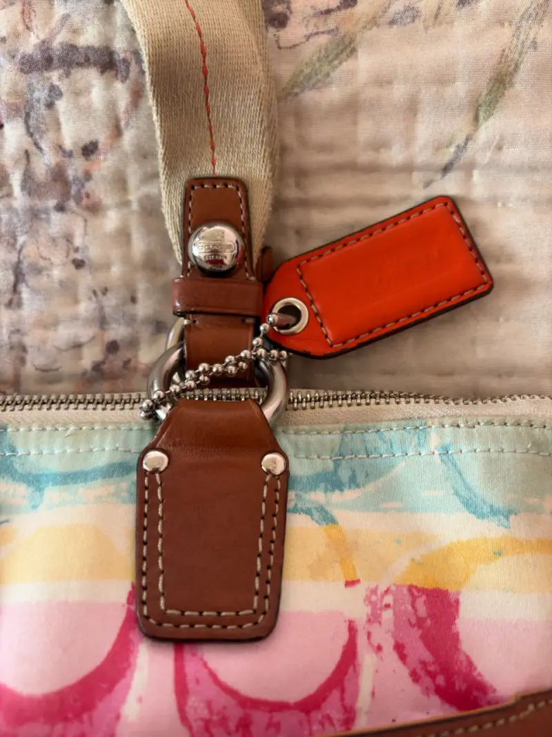 Bolso Coach Hampton Watercolor - 5