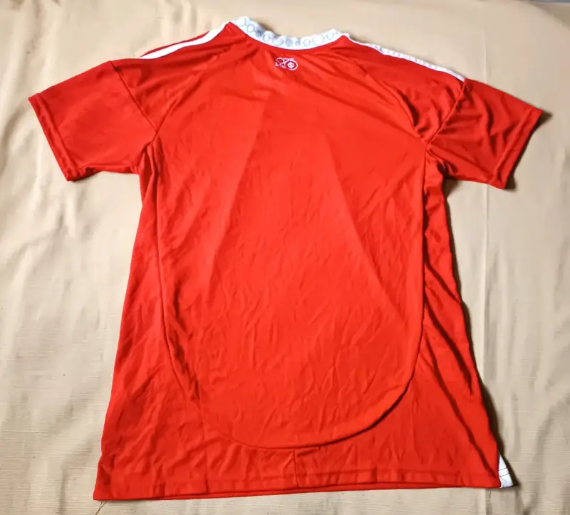 Camiseta de futbol Inter de porto alegre de bras - 2