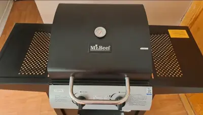 Parrilla a gas Mr. Beef con termómetro - miniatura 1
