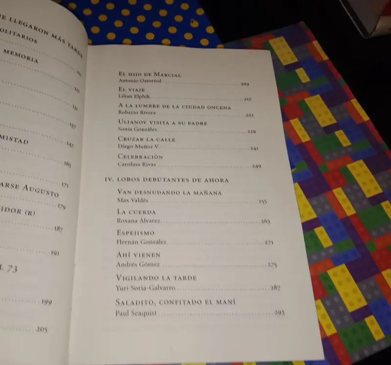 Después Del 11 De Septiembre - Poli Délano - 5