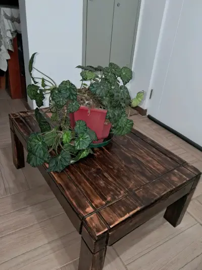 Mesa de centro rústica de madera oscura - miniatura 1