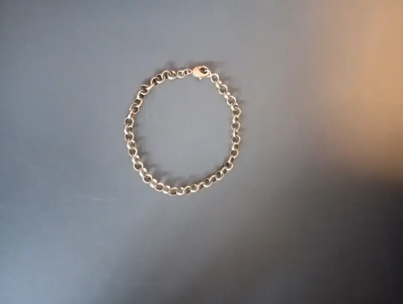 Pulsera de eslabones bañada en oro - 1