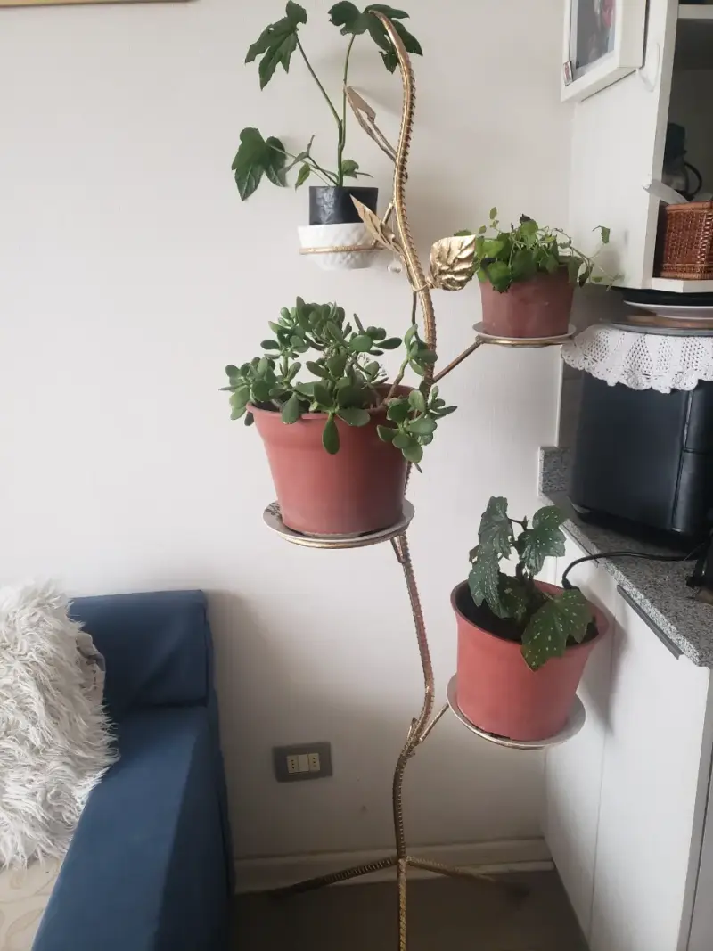 Soporte de fierro para maceteros + otro pequeño - 1