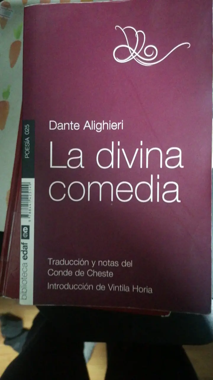 Libro La Divina Comedia de Dante Alighieri - 1