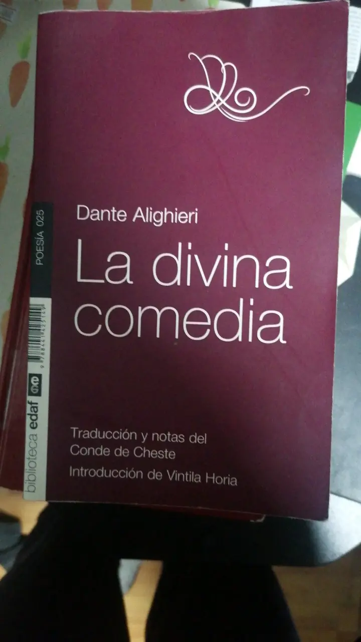 Libro La Divina Comedia de Dante Alighieri - 4