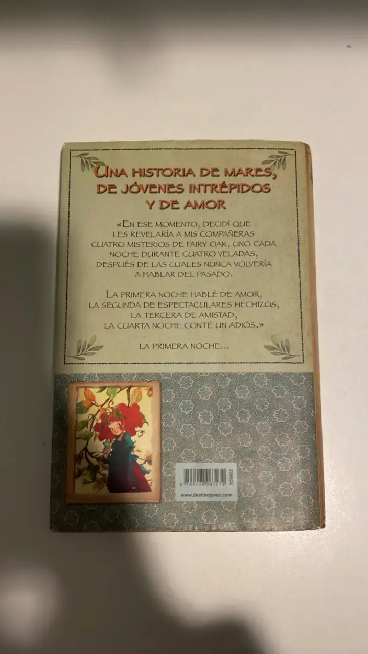 Libro Capitán Grisam y el Amor de Fairy Oak - 2