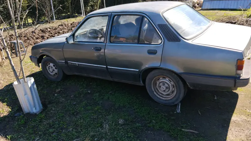 Chevrolet Chevette 1.4 1990 en buen estado - 1