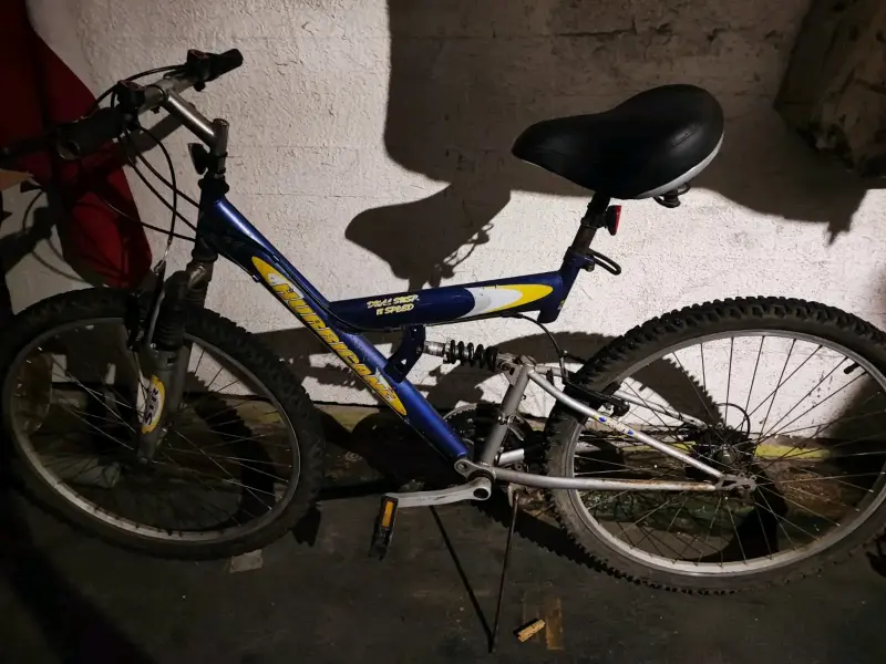 Bicicleta Mountain Bike azul con suspensión - 1