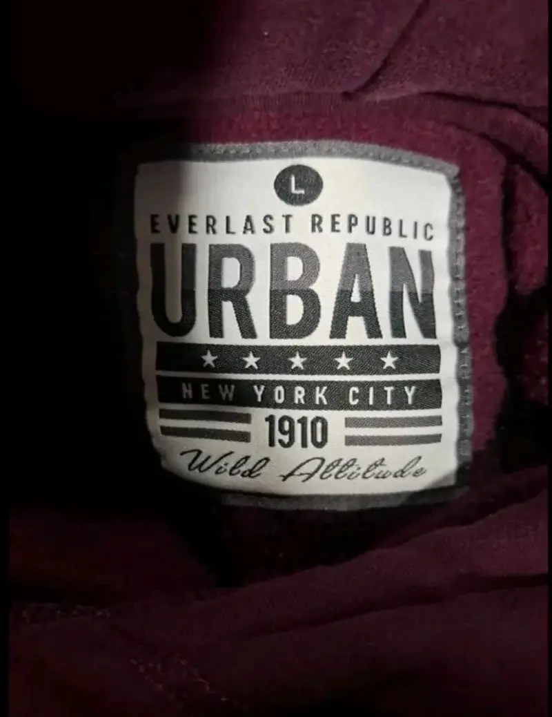 Polerón Everlast Republic Urban morado con capucha - 3