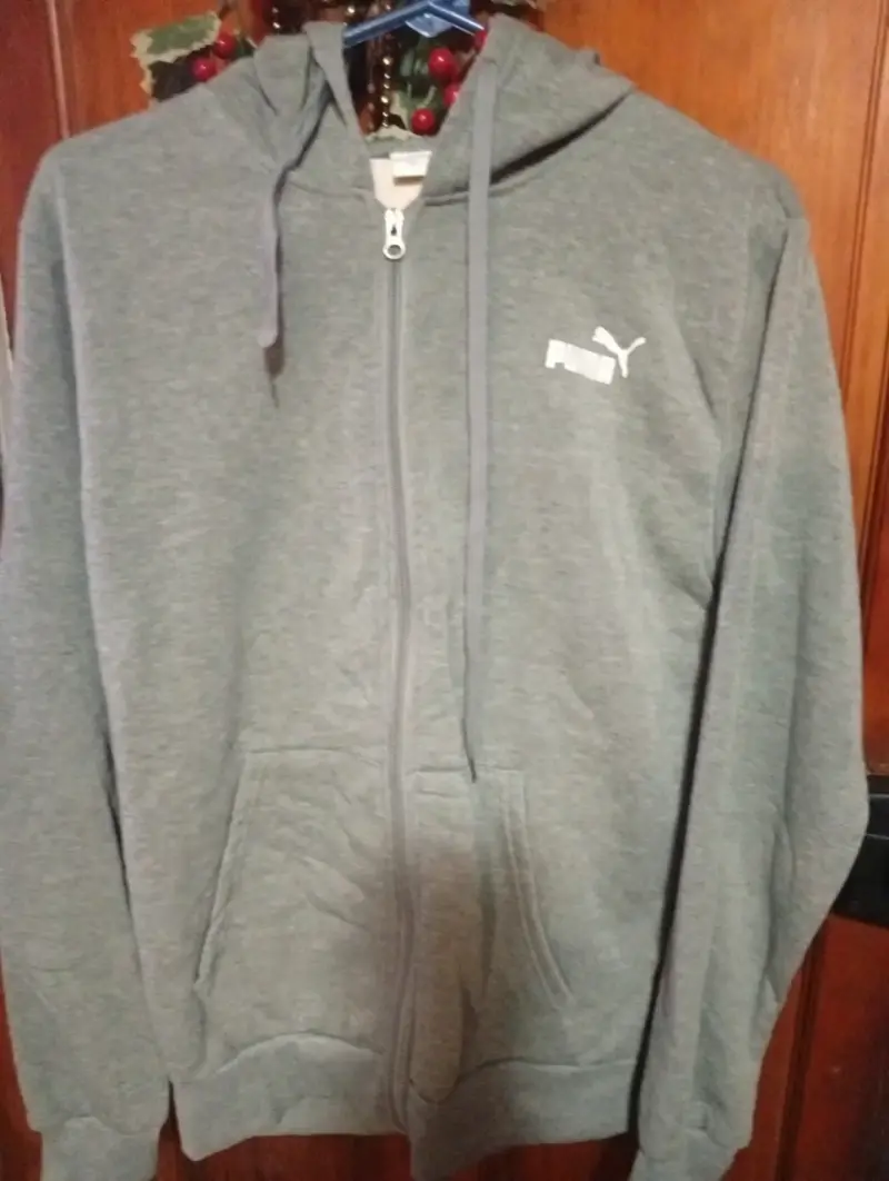 Polerón con capucha gris Puma para hombre