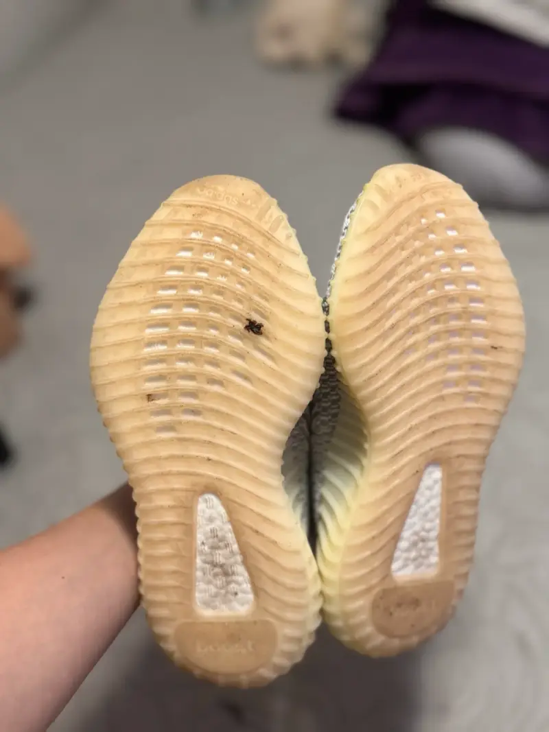 Zapatillas Adidas Yeezy Boost talla 5us - 3