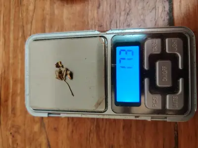 Fragmentos de oro para joyería 1.73g - miniatura 2