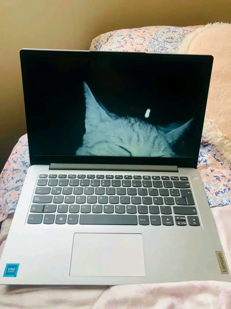 Laptop Lenovo Intel Core i5 en buen estado - 2