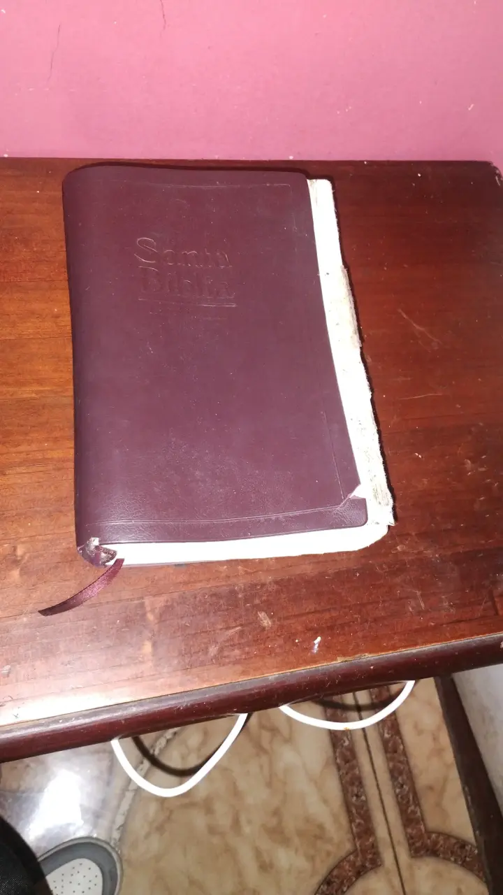 Biblia con tapa de cuero marrón - 1
