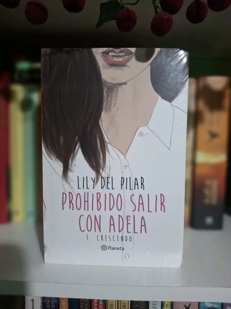 Libros - 4