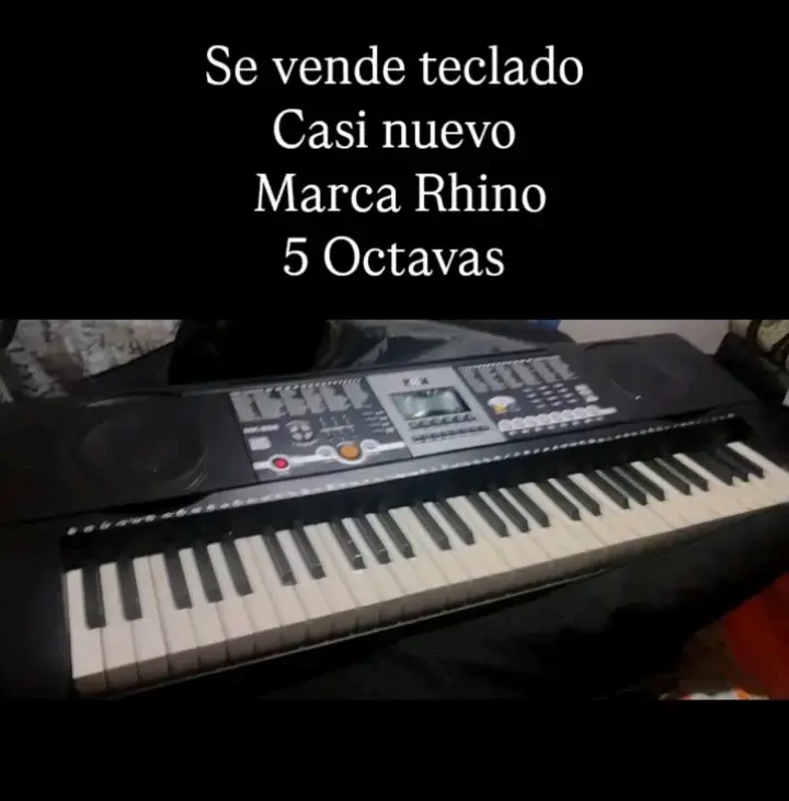 Teclado eléctrico Rhino 5 octavas casi nuevo