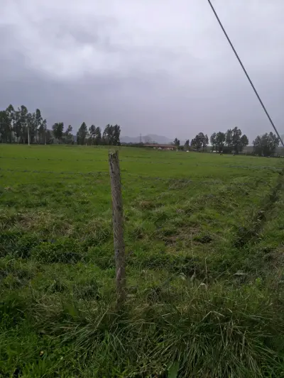 parcelas en Corralones, San Clemente, Región del M - miniatura 5