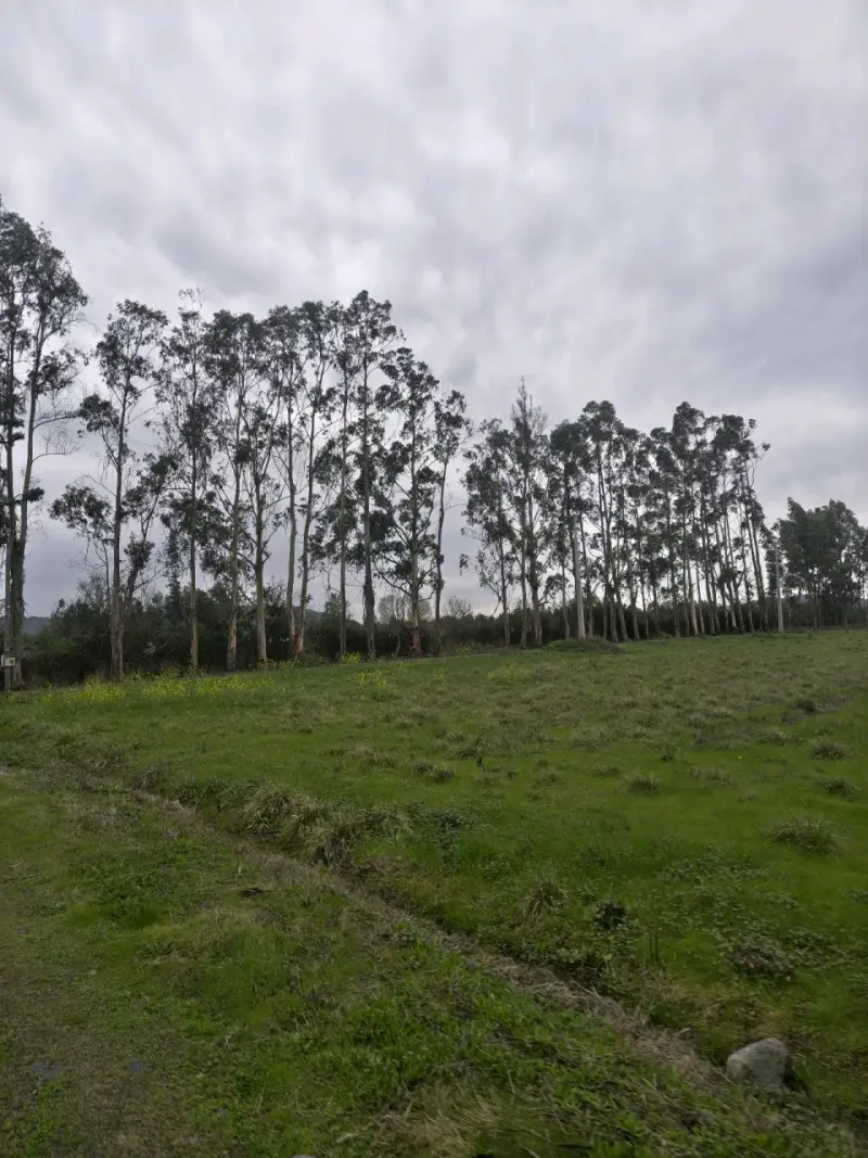 parcelas en Corralones, San Clemente, Región del M - 6