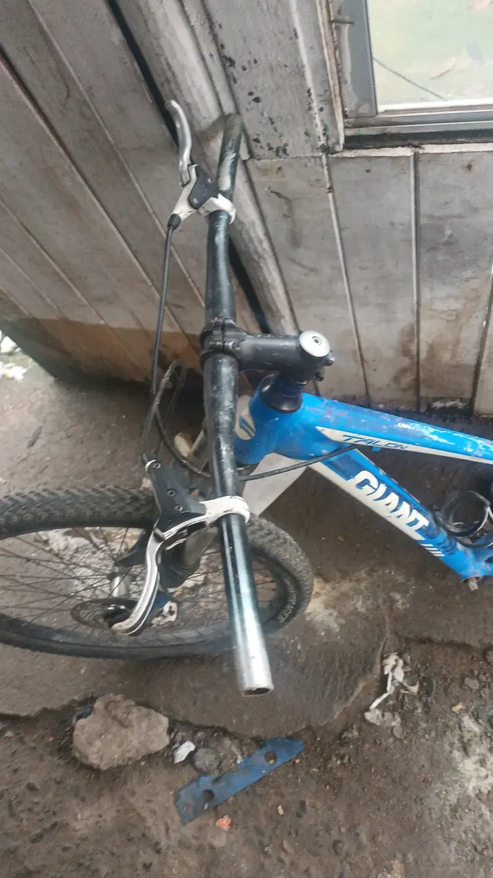 Marco de bicicleta Giant Talon azul - 2