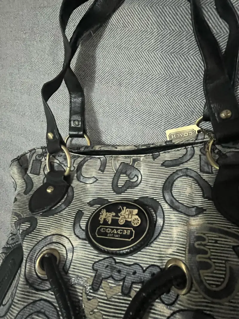 Bolso de mano Coach Poppy estampado - 2