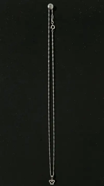 Collar de plata con dije de mariposa - miniatura 1