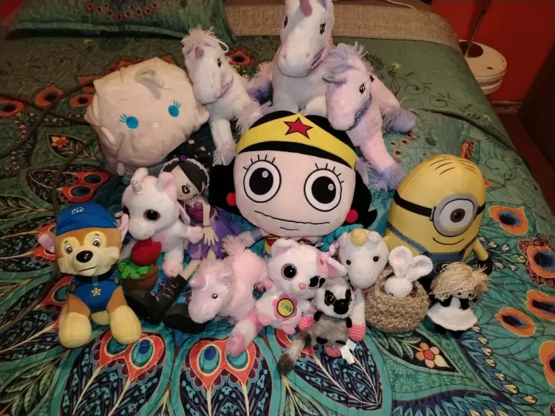 Colección de peluches variados para niños - 1