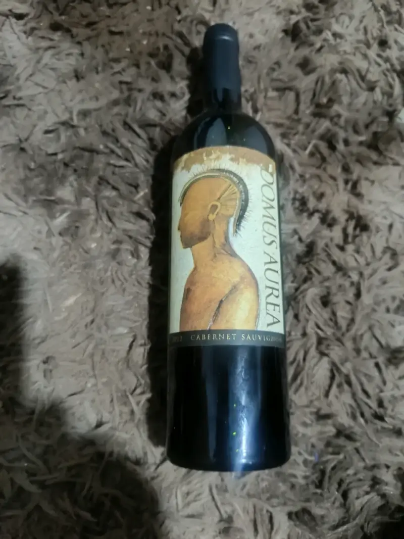 Vino Tinto Domus Aurea Cabernet Sauvignon 2022 - 2